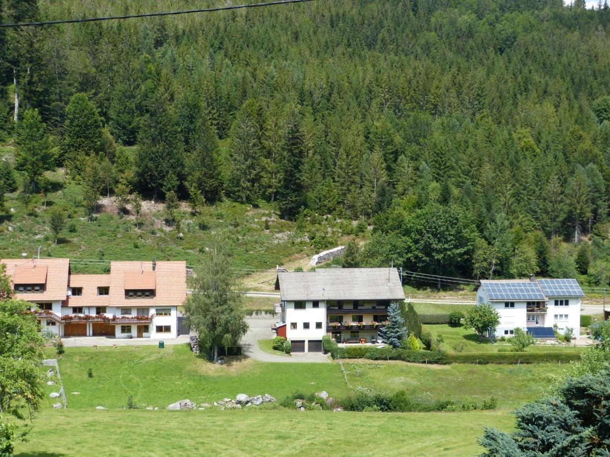 Ferienwohnung Haus Wiesengrund Forbach Kültér fotó